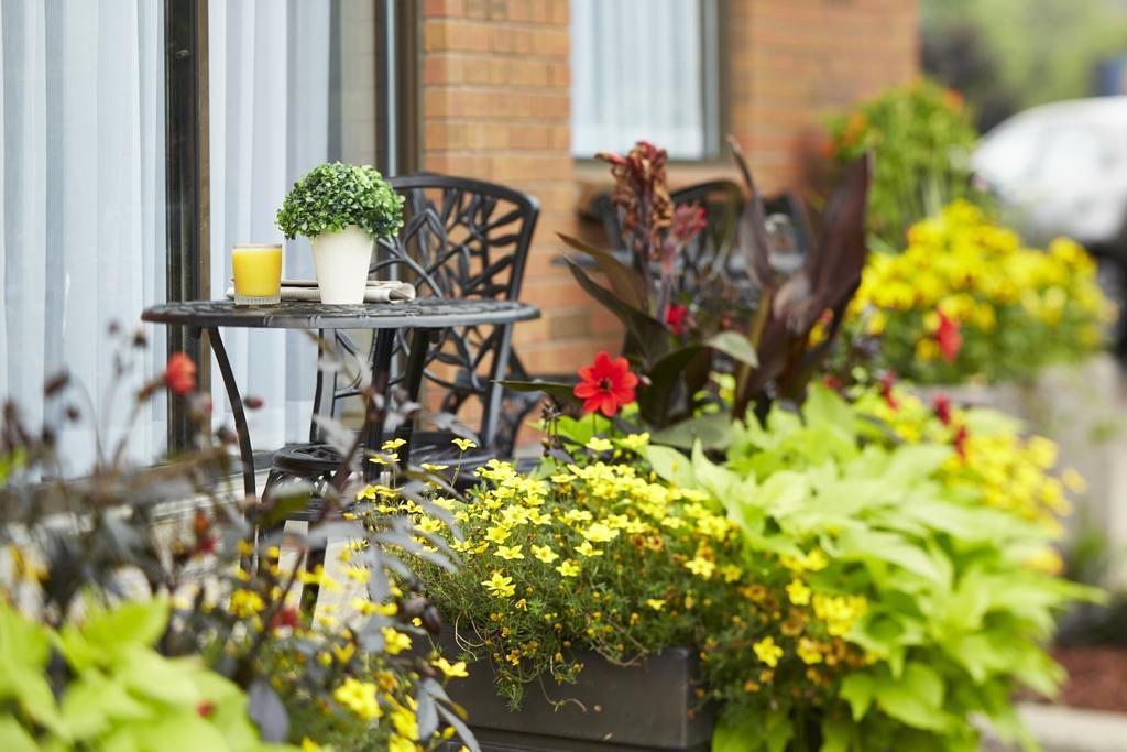 Comfort Inn South Shore Boucherville Exteriör bild
